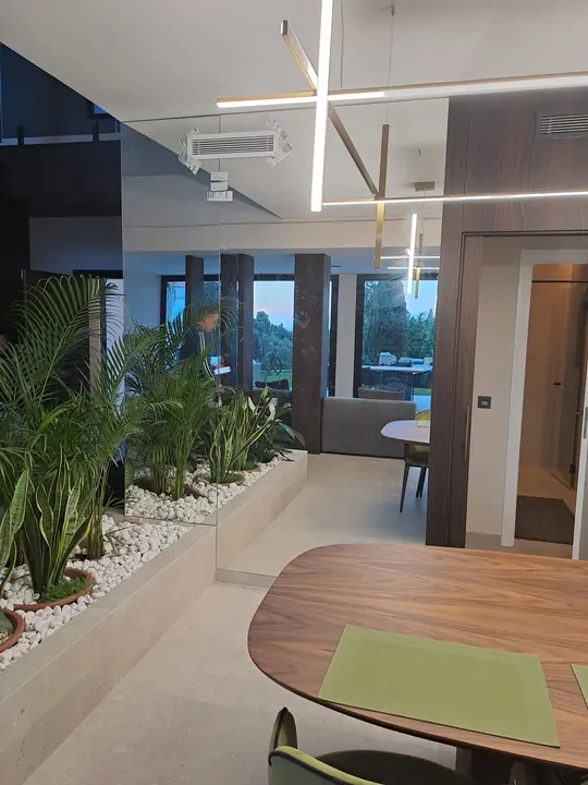 Made-to-measure mirror in a living room with an indoor garden